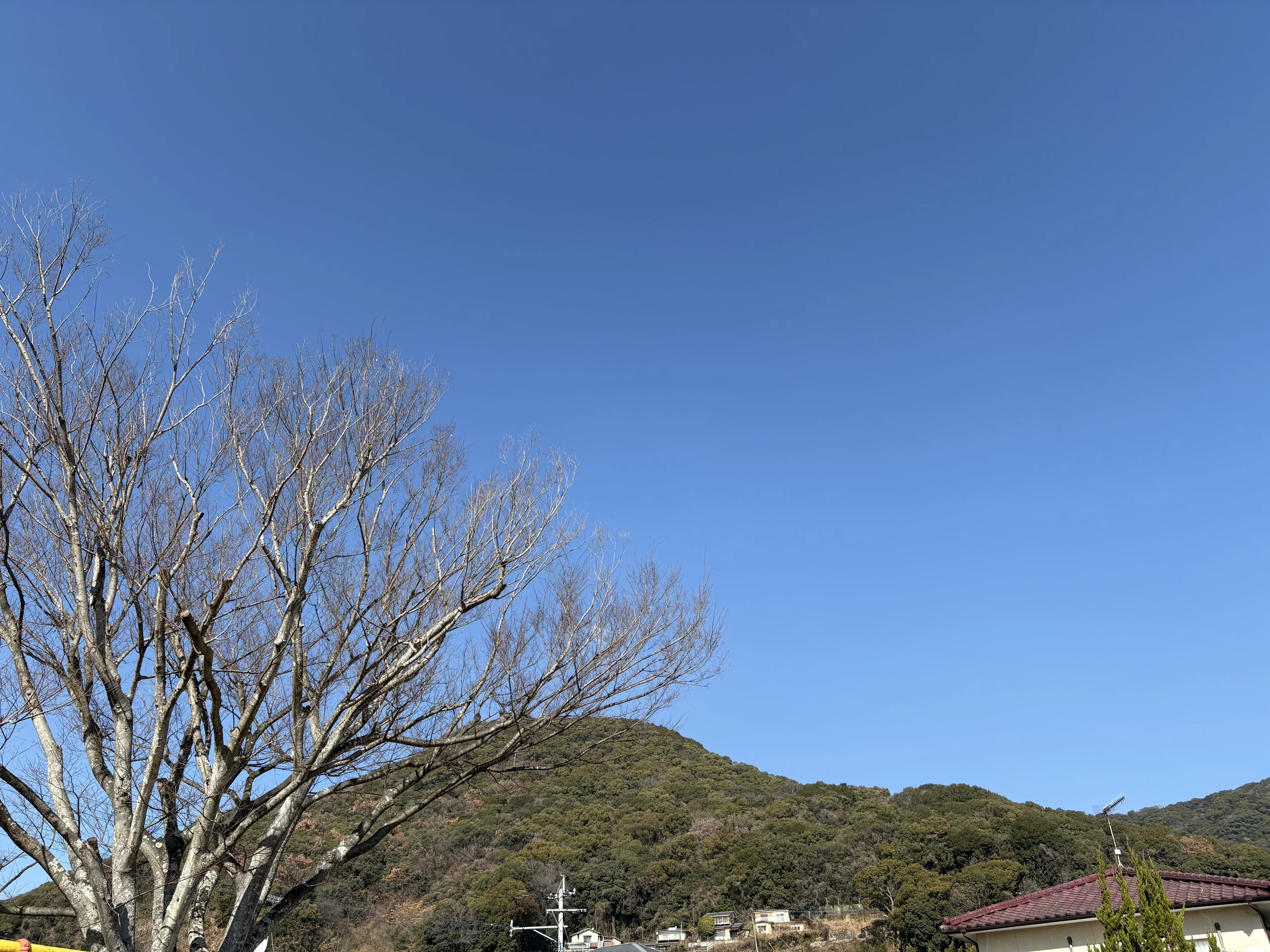 撮影に同行しました♪ 掲載写真