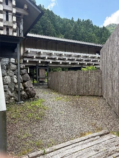 question.カツオのタタキってなに？ 掲載写真