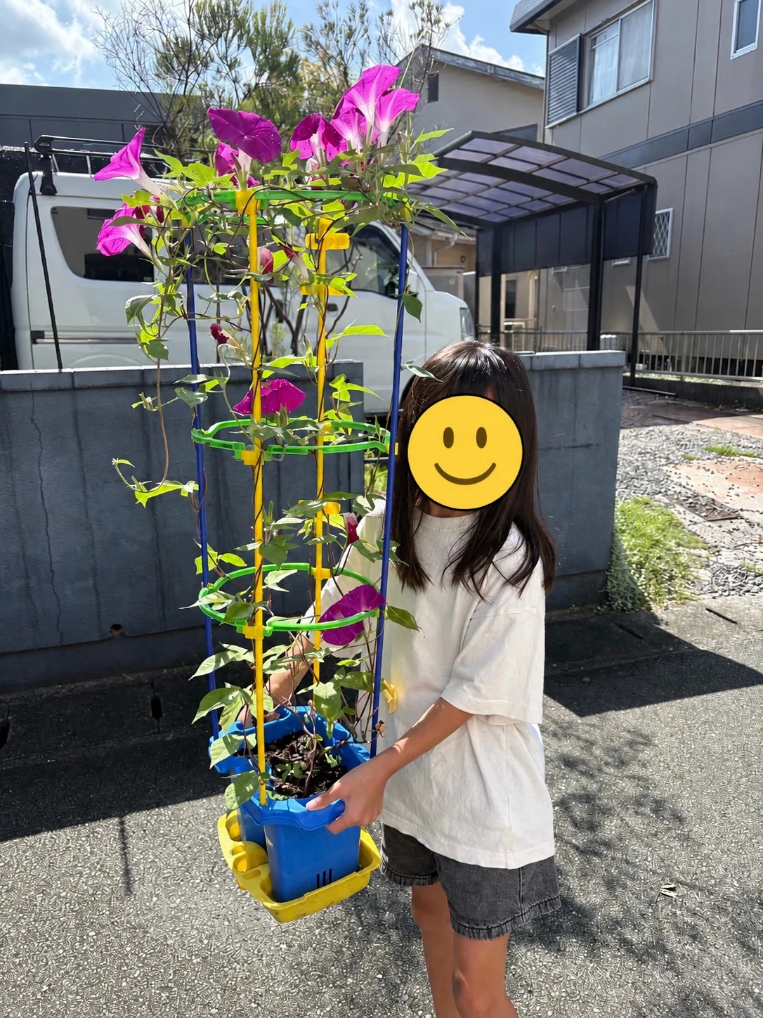 果実とハーブと花 掲載写真