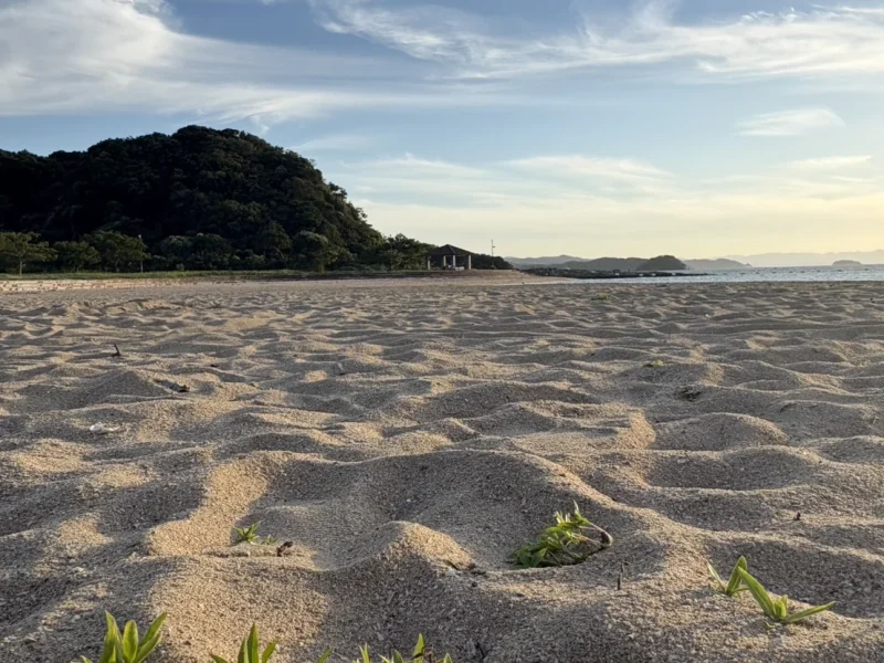 くまもとの穏やかな海