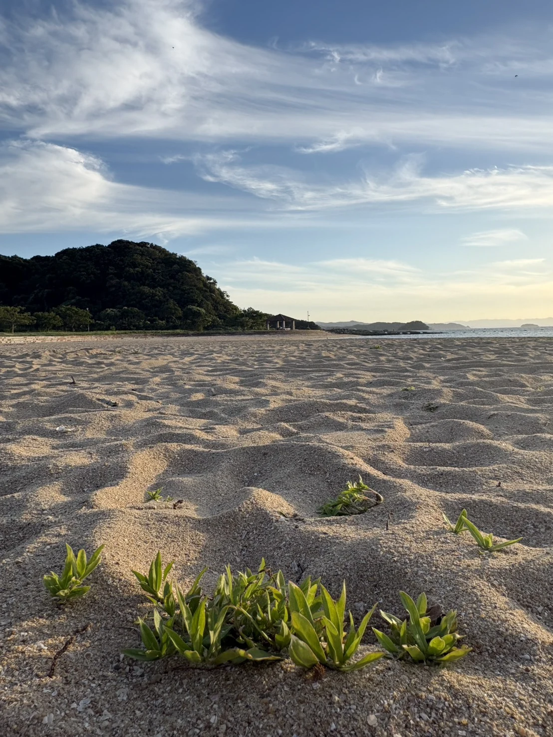 くまもとの穏やかな海