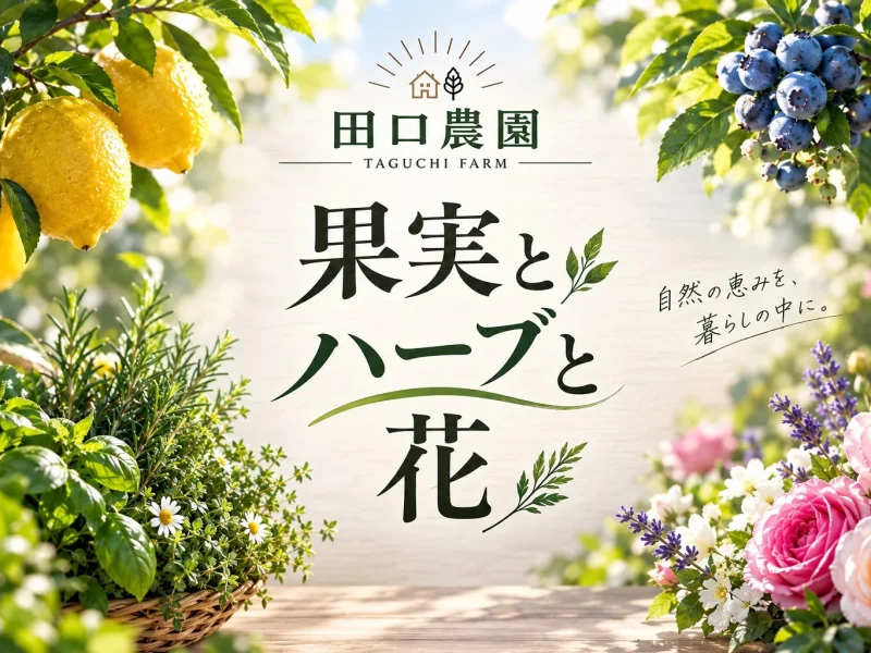 果実とハーブと花
