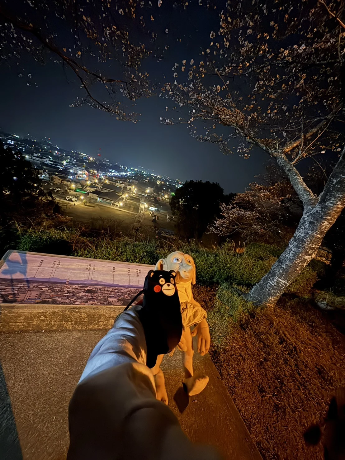 桜がとてもきれいでした🌸